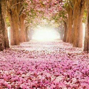 Meet your Posher, Jocelyn